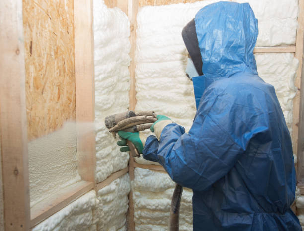 Best Fireproof Insulation  in Coal Valley, IL